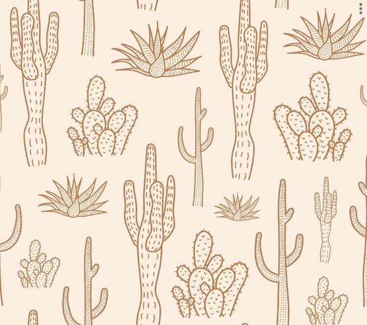 Desert Dream